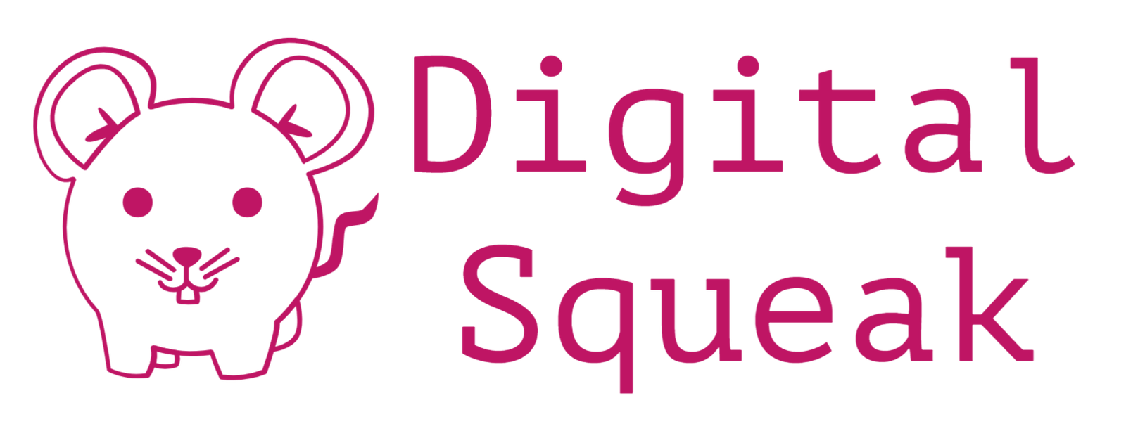 Digital Squeak logo